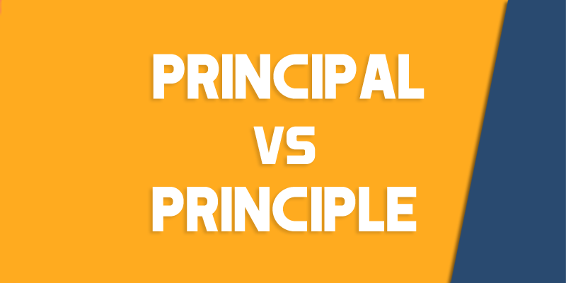 Principal Vs Principle How To Use Each Correctly Queens NY 