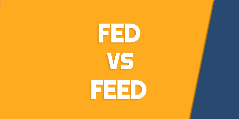 Feed Vs Fed How To Use Each Correctly Queens NY English Society